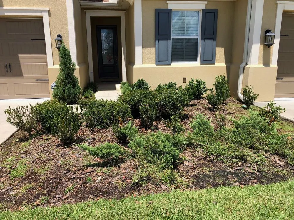 Expert yard cleanup service for year-round maintenance in Wesley Chapel, FL by H2o shine