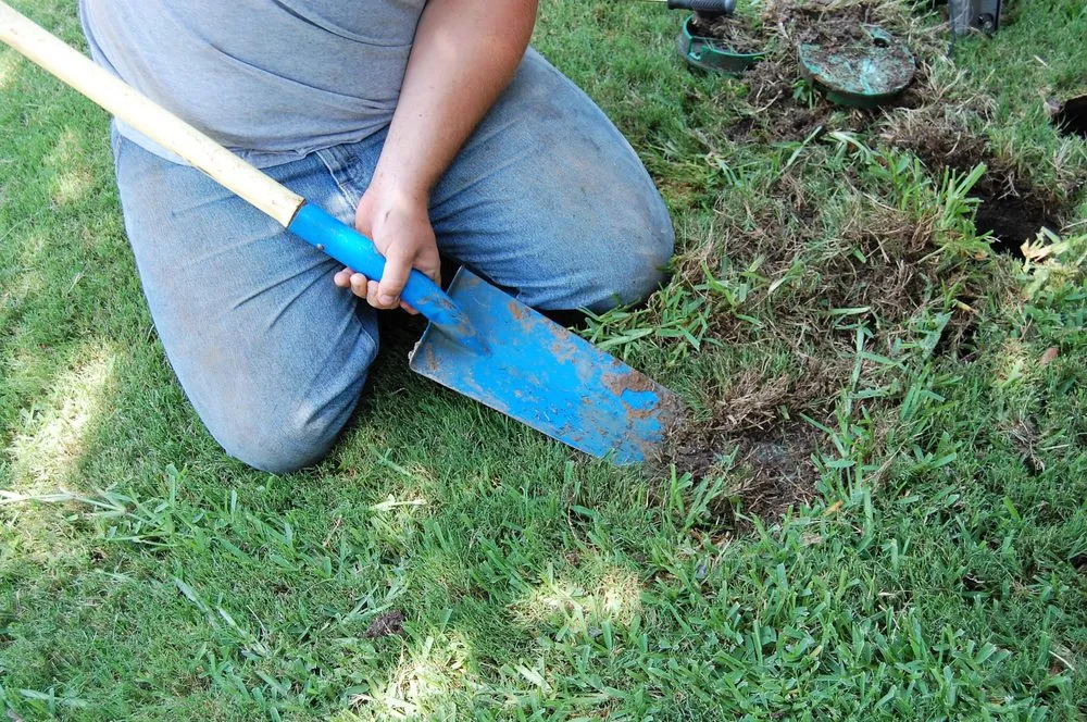 Top-rated residential landscaping experts serving Irving, TX - H2O Sprinkler Systems