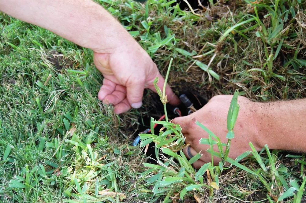 Trusted landscape design for year-round maintenance in Irving, TX by H2O Sprinkler Systems