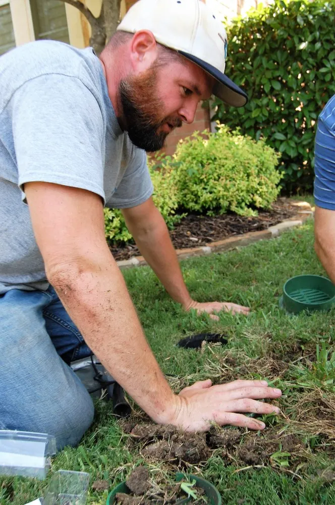 Local landscape installation in Irving, TX by H2O Sprinkler Systems