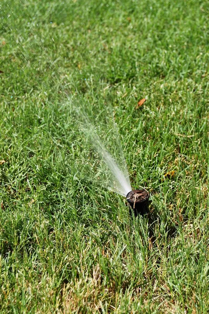 Trusted landscape installation for beautiful yards in Irving, TX by H2O Sprinkler Systems