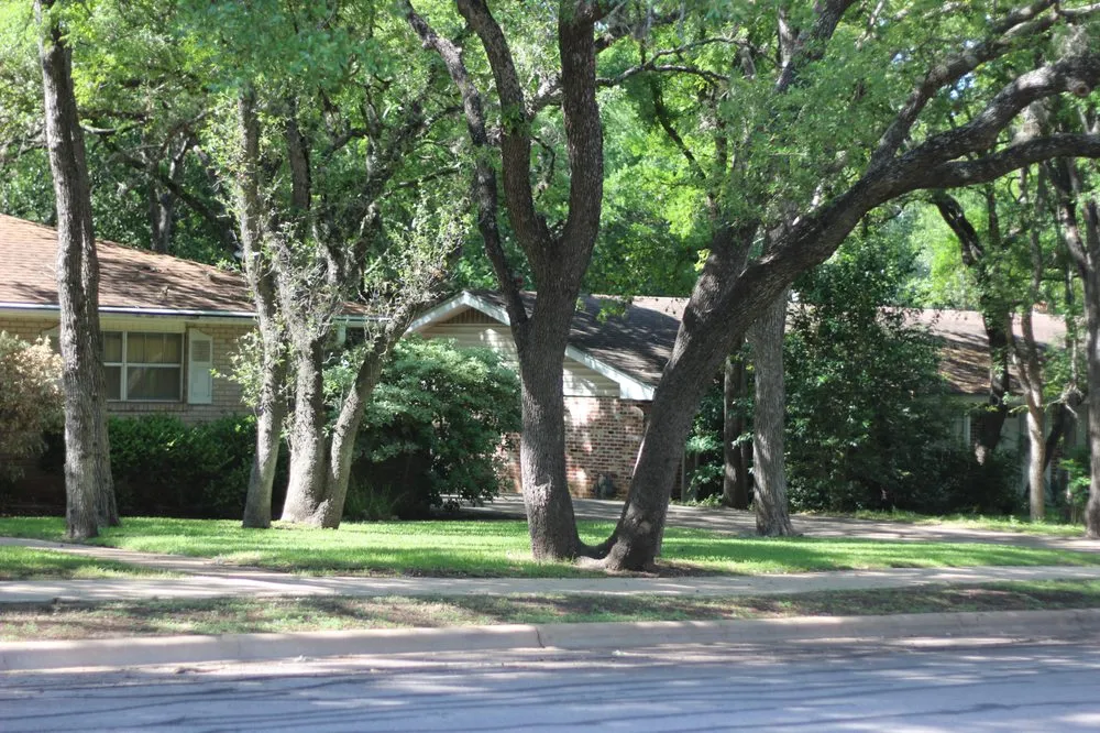 Reliable yard cleanup service in Austin, TX - H3 Lawn Care