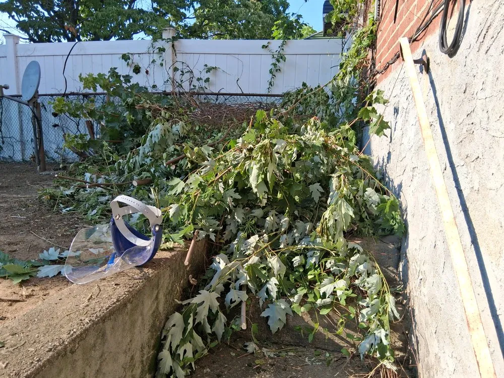 Affordable garden landscaping in New York, NY - H&A Lawn Service