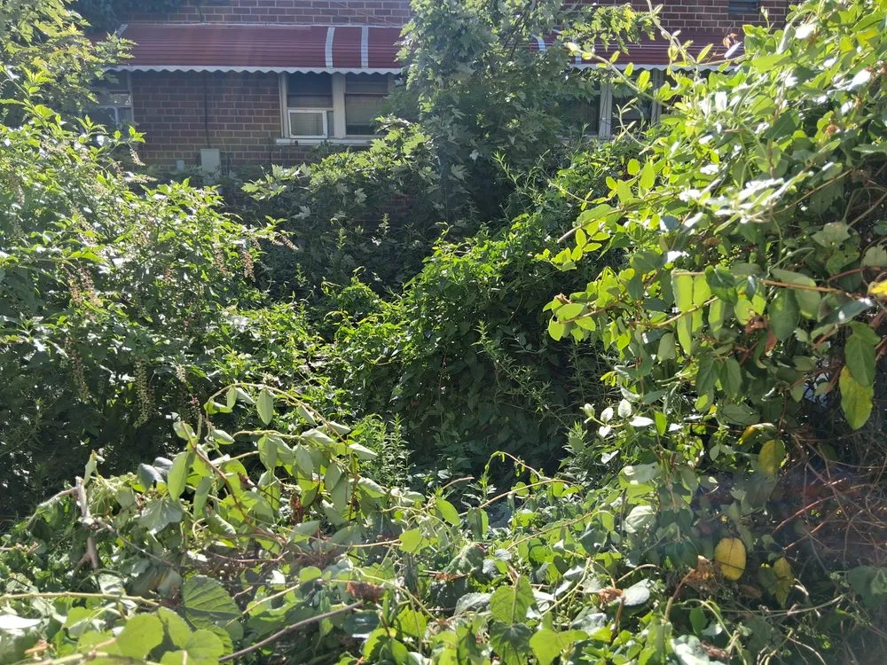 Professional landscaping services experts serving New York, NY - H&A Lawn Service