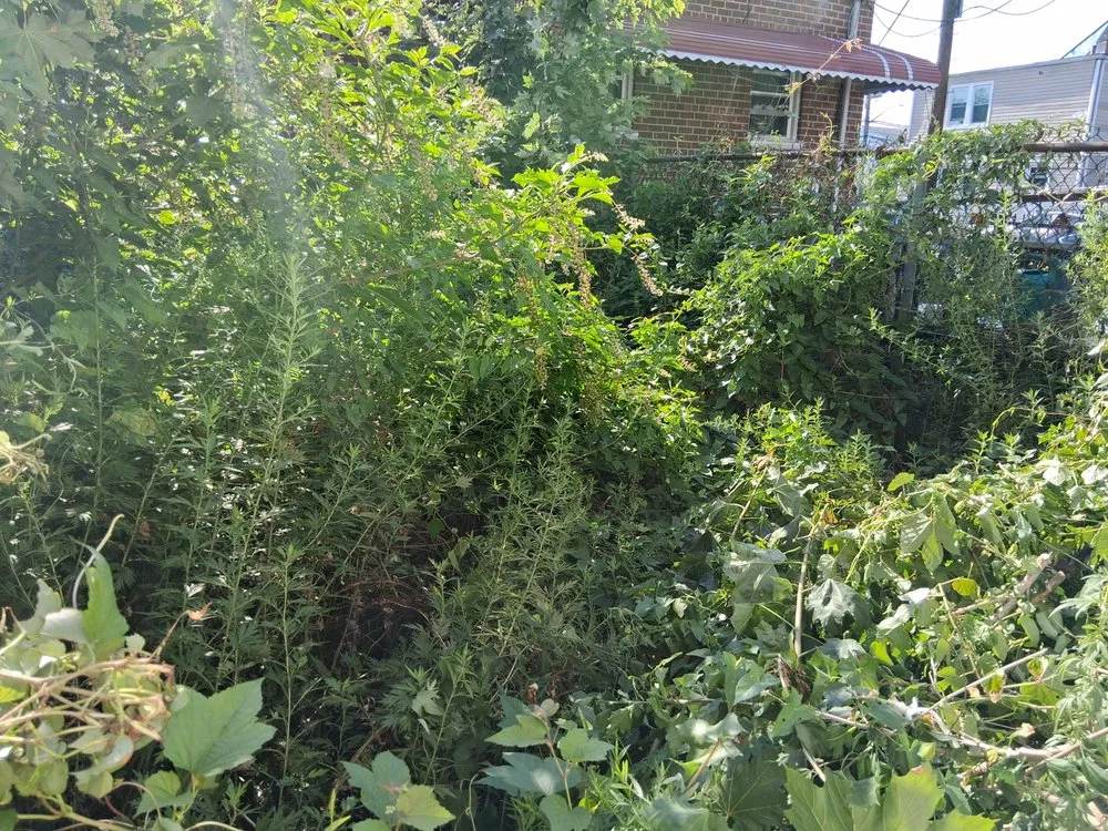 Local garden landscaping for outdoor upgrades across New York, NY - H&A Lawn Service