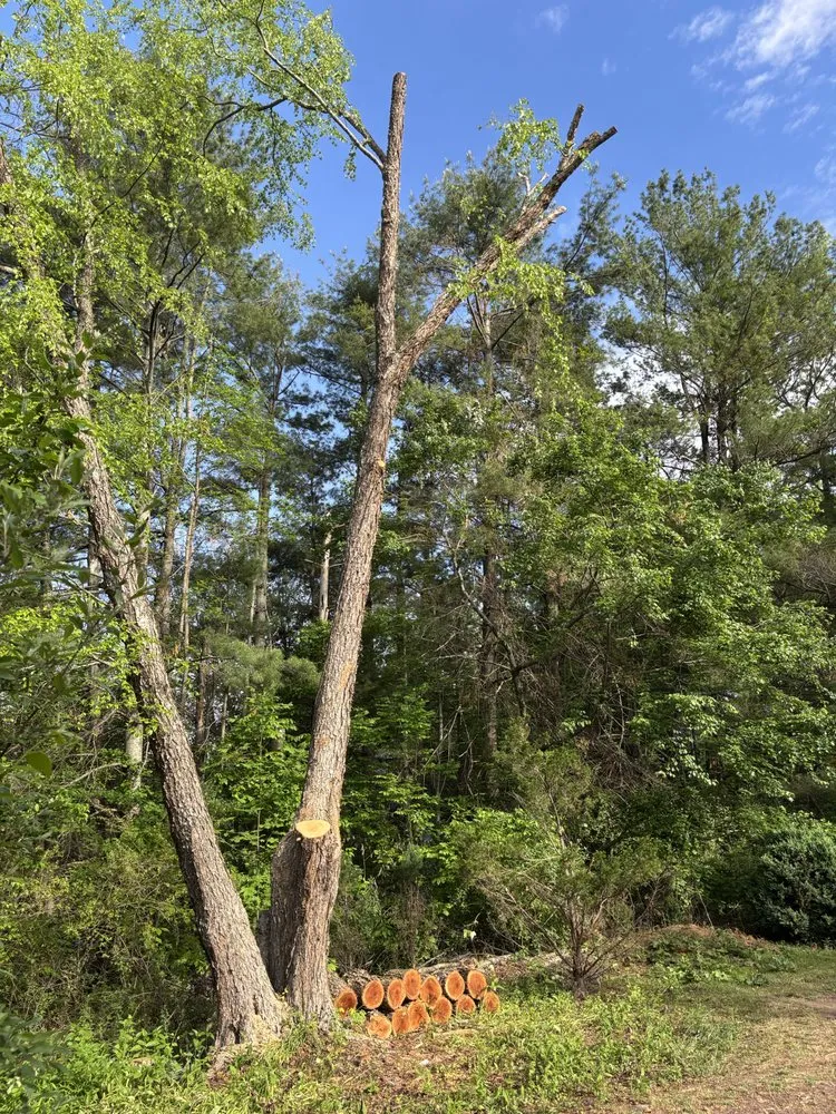Custom lawn mowing service for homes in Elkwood, VA by H&A Meza Tree Service