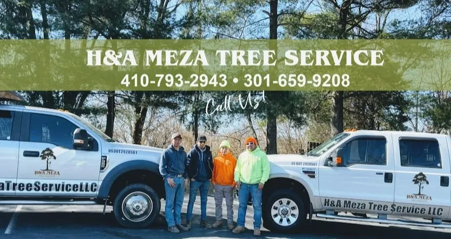 Top-rated yard cleanup service for residential properties across Elkwood, VA - H&A Meza Tree Service