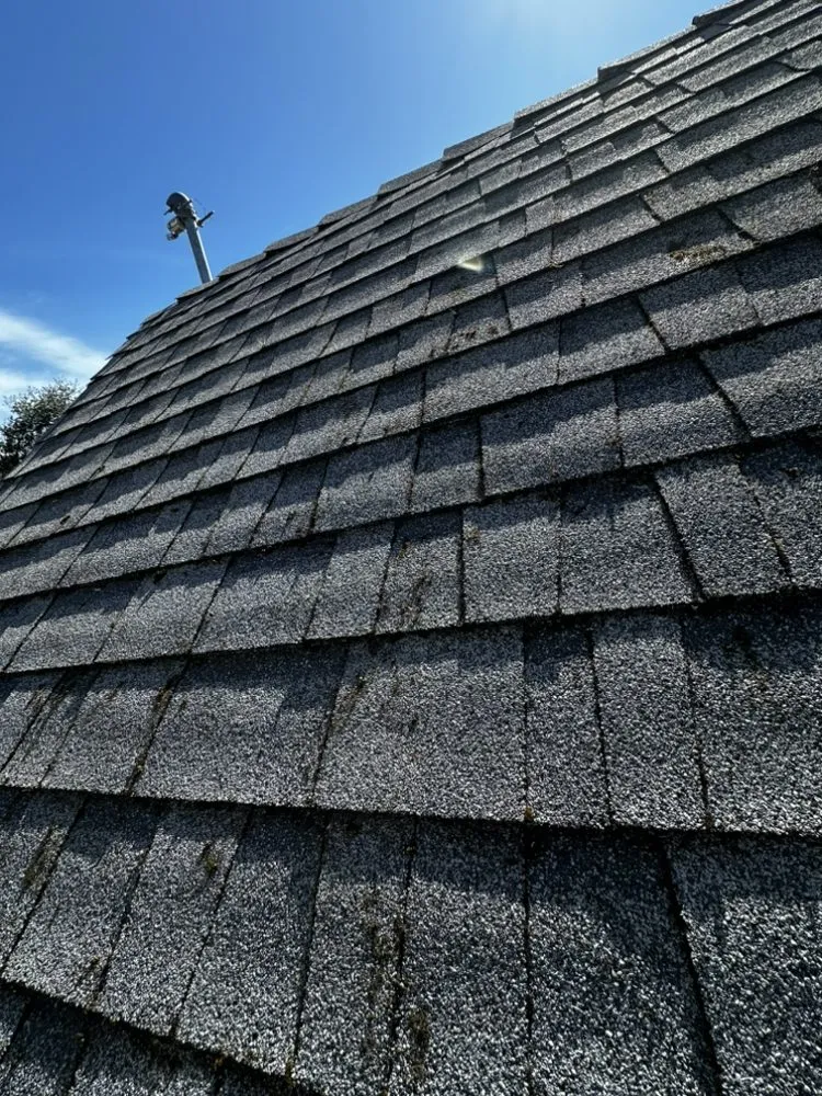 Reliable landscape installation in Corning, CA by H&A Services