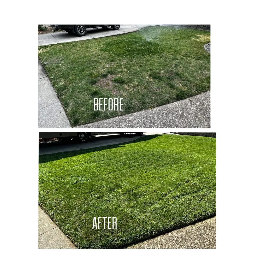 Local lawn care service in Corning, CA - H&A Services