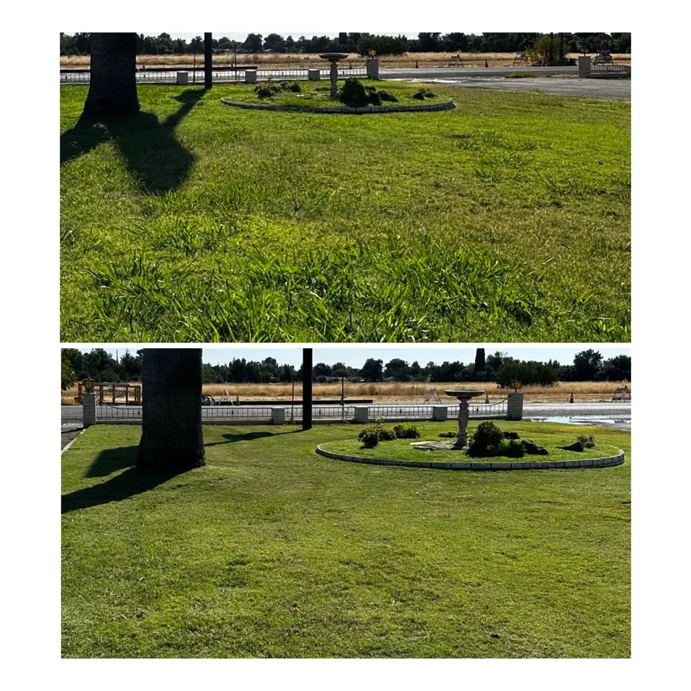 Custom yard cleanup service in Corning, CA - H&A Services