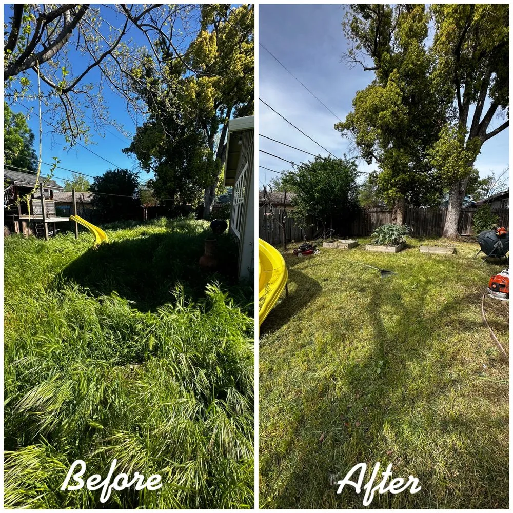 Affordable yard cleanup service for beautiful yards in Corning, CA by H&A Services