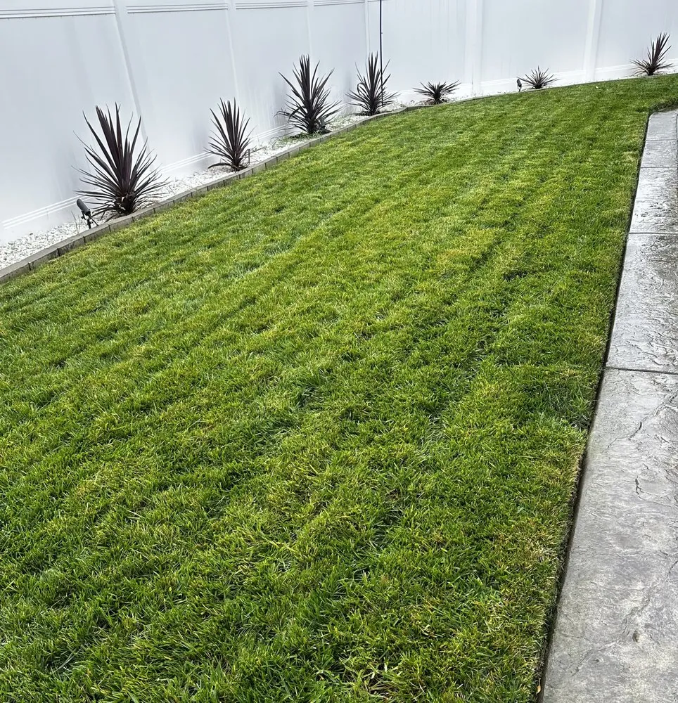 Expert landscape installation in Corning, CA by H&A Services