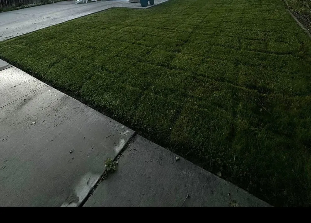 Affordable residential landscaping experts serving Corning, CA - H&A Services