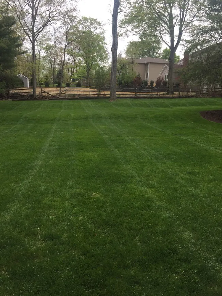 Professional lawn care service near you in Caldwell, NJ by HAA Landscaping