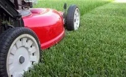 Trusted lawn mowing service in Pukalani, HI - Ha'aheo Landscaping