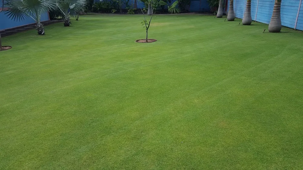 Reliable outdoor landscaping experts serving Pukalani, HI - Ha'aheo Landscaping