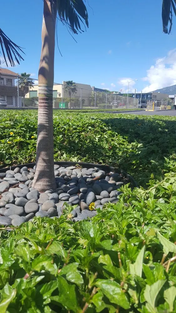 Expert outdoor landscaping for residential properties in Pukalani, HI by Ha'aheo Landscaping