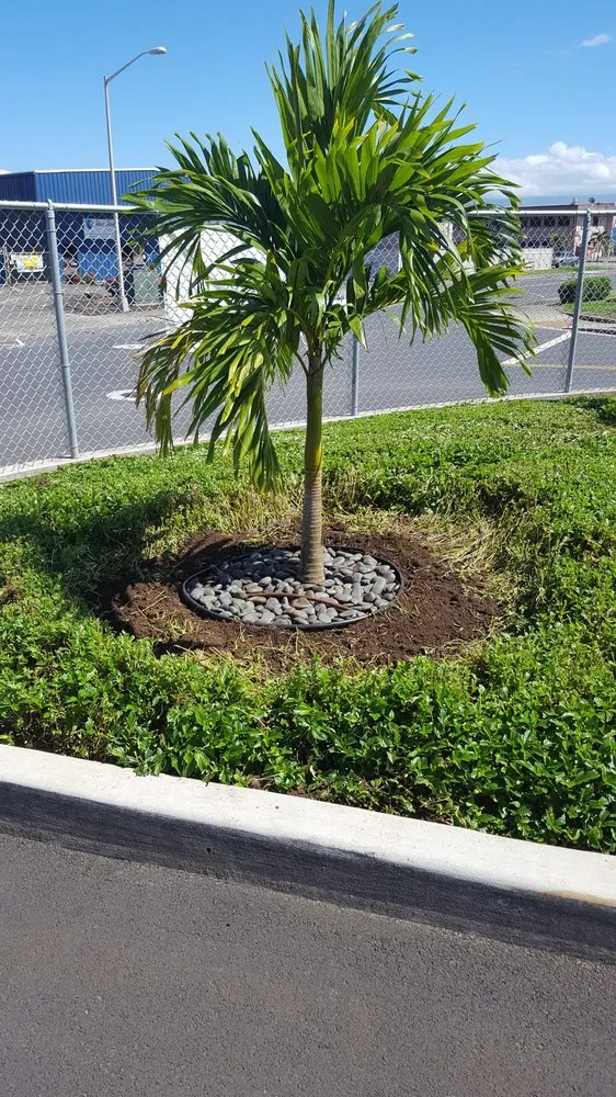 Professional residential landscaping in Pukalani, HI - Ha'aheo Landscaping