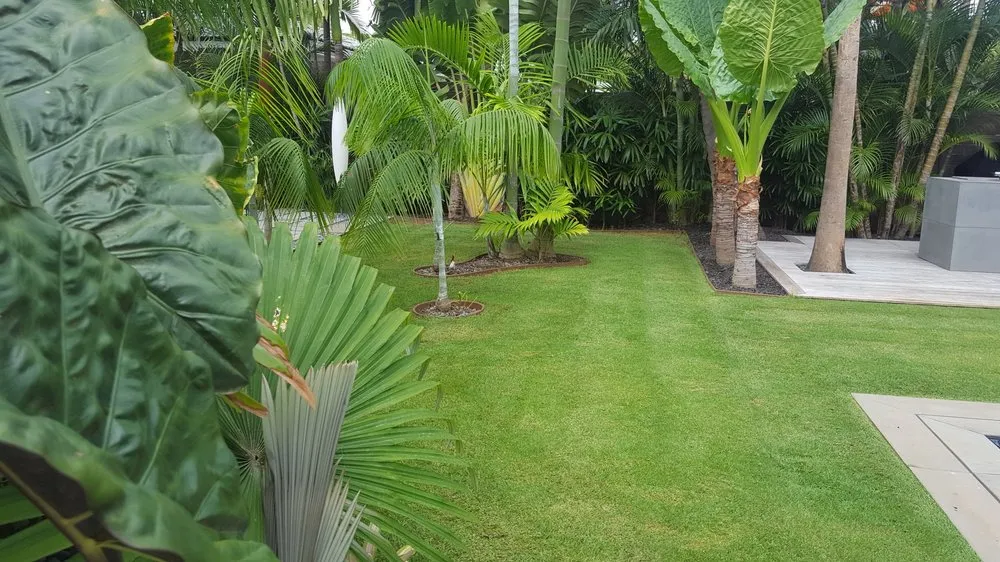 Local landscape installation for beautiful yards across Pukalani, HI - Ha'aheo Landscaping