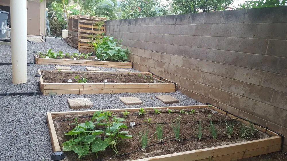 Expert landscaping services experts serving Pukalani, HI - Ha'aheo Landscaping