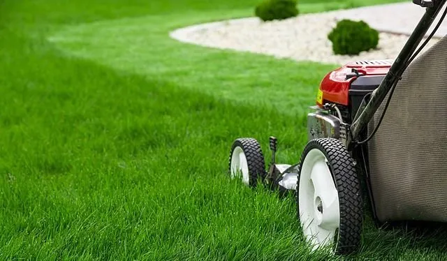 Affordable landscape design in Minneapolis, MN - Haakare Lawn Care