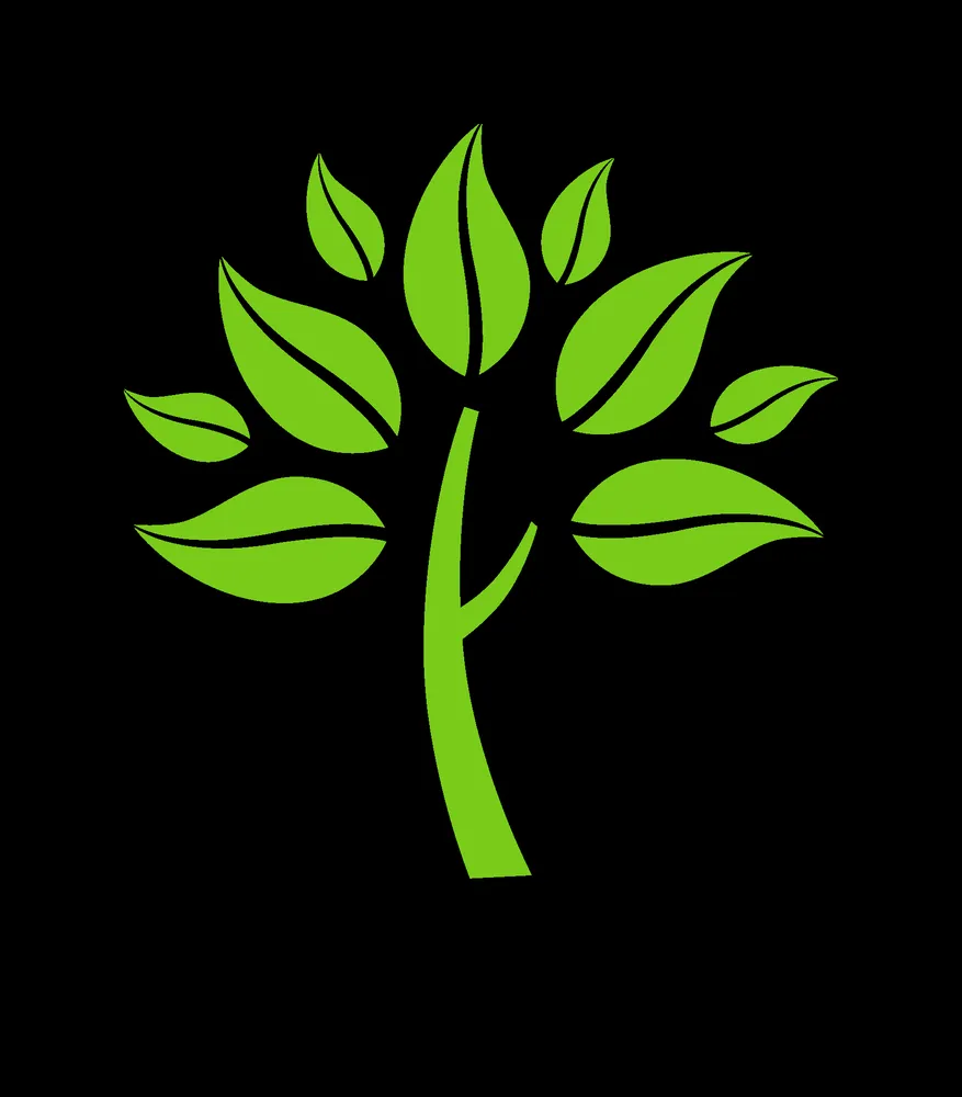 Expert yard cleanup service in Minneapolis, MN - Haakare Lawn Care