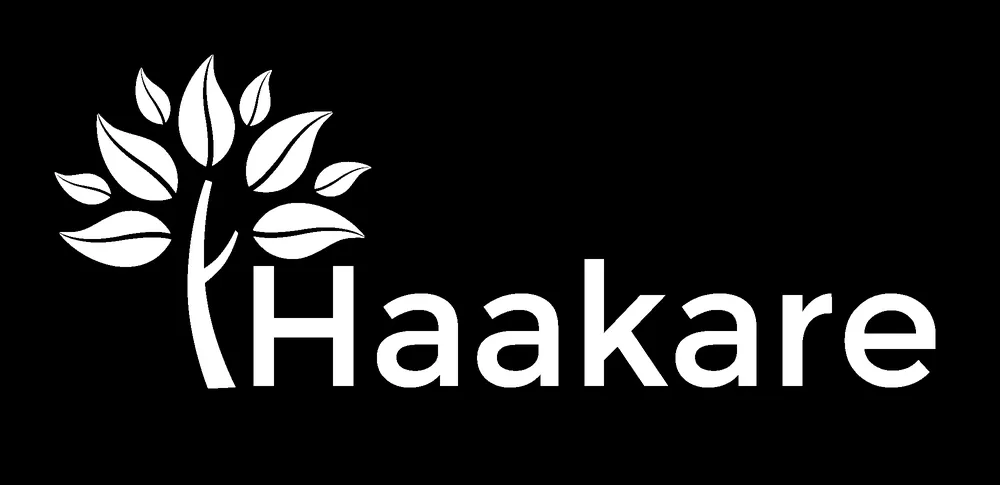 Custom outdoor landscaping for year-round maintenance across Minneapolis, MN - Haakare Lawn Care