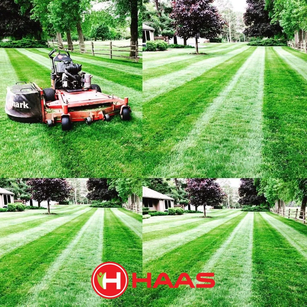 Expert outdoor landscaping for homes in Saginaw, MI by Haas Landscaping