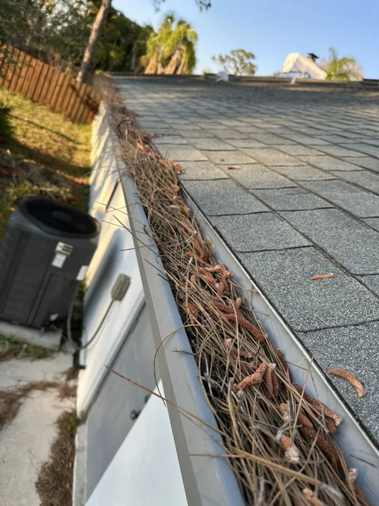 Expert landscaping services for year-round maintenance across Sarasota, FL - Haas Lawn Care