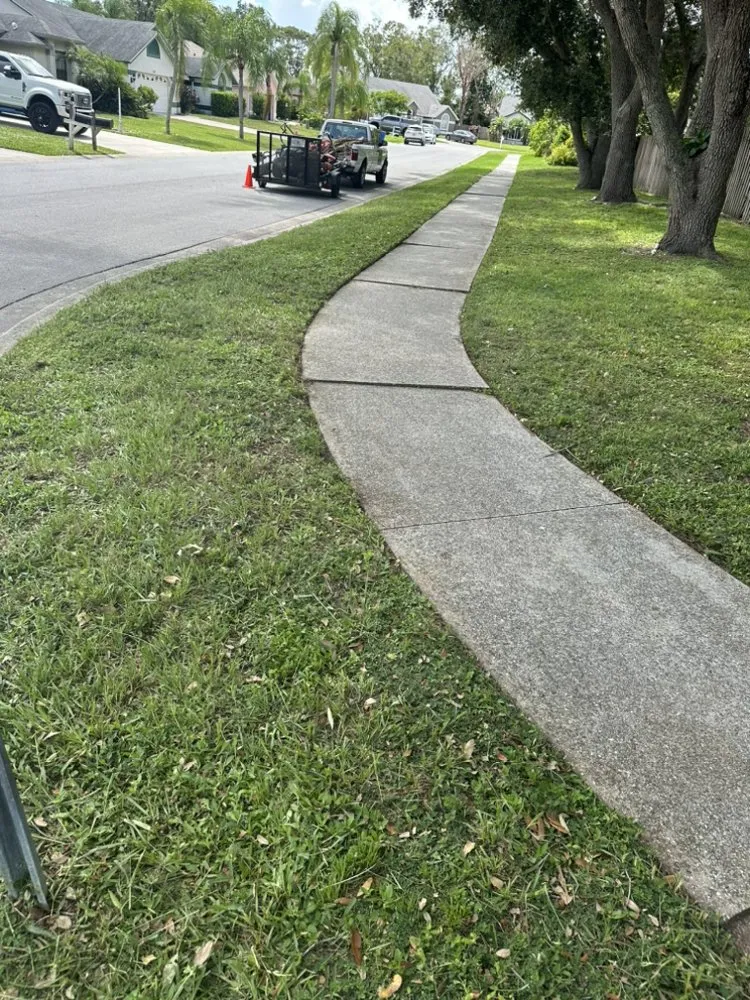 Reliable yard maintenance experts serving Sarasota, FL - Haas Lawn Care