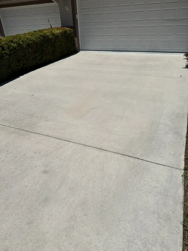 Expert landscape installation in Sarasota, FL by Haas Lawn Care
