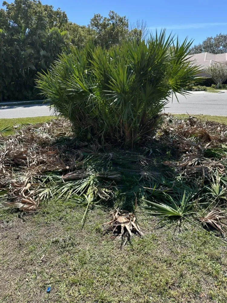 Professional garden landscaping experts serving Sarasota, FL - Haas Lawn Care