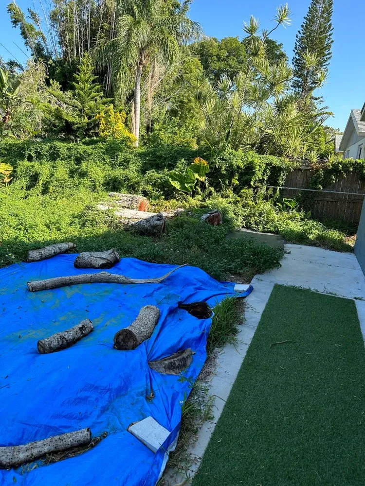 Affordable lawn mowing service experts serving Sarasota, FL - Haas Lawn Care