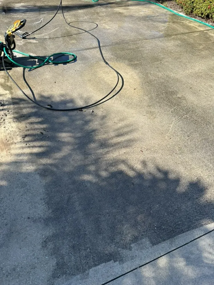 Reliable landscape design in Sarasota, FL - Haas Lawn Care