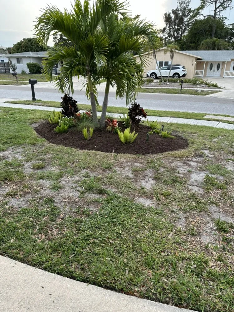 Top-rated landscaping services in Sarasota, FL by Haas Lawn Care