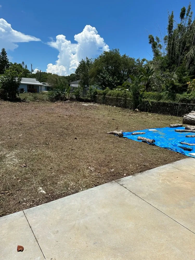 Reliable lawn mowing service experts serving Sarasota, FL - Haas Lawn Care