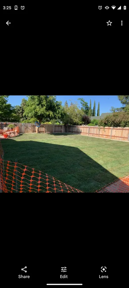 Custom lawn care service experts serving Yuba City, CA - Haase Landscape