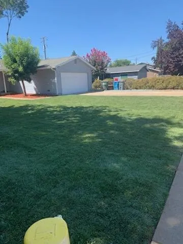 Top-rated yard maintenance for homes in Yuba City, CA by Haase Landscape