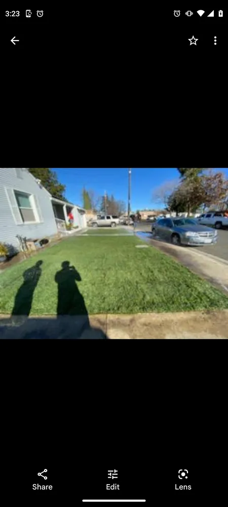 Top-rated lawn care service in Yuba City, CA by Haase Landscape