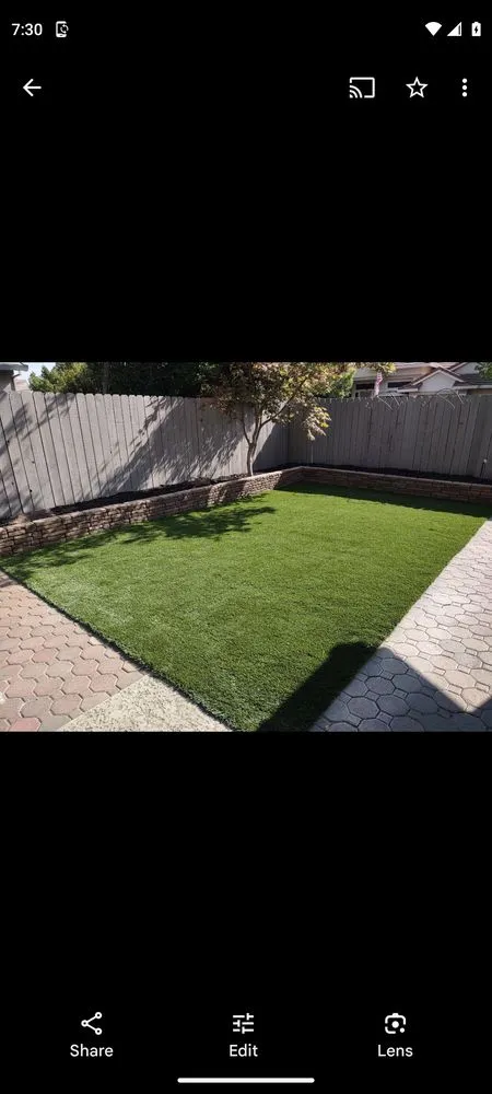 Expert yard cleanup service in Yuba City, CA by Haase Landscape