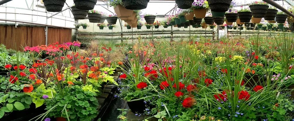 Custom landscape installation for outdoor upgrades in Spokane, WA by Haase's Greenhouse