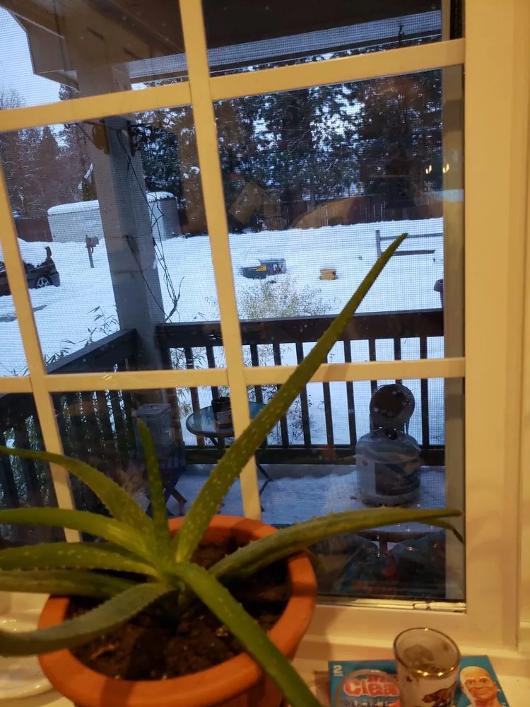 Professional lawn care service for beautiful yards in Spokane, WA by Haase's Greenhouse