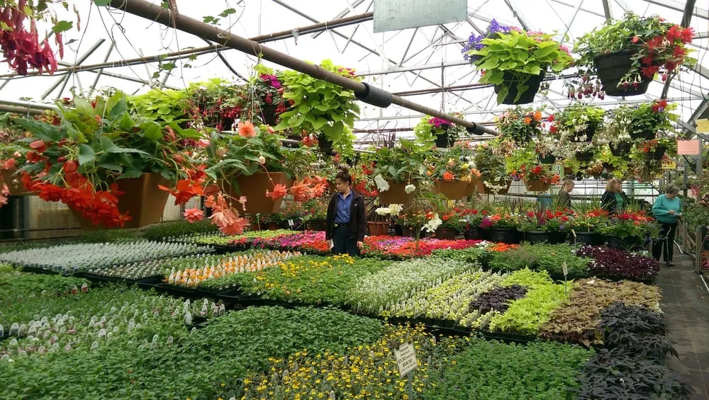 Local yard maintenance in Spokane, WA by Haase's Greenhouse