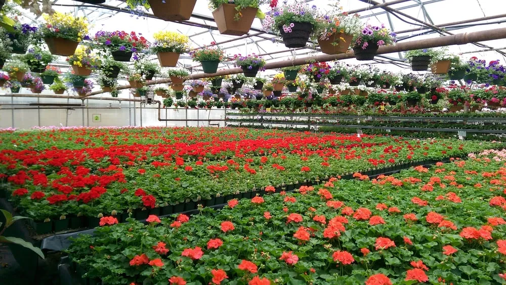 Trusted landscape design for beautiful yards in Spokane, WA by Haase's Greenhouse