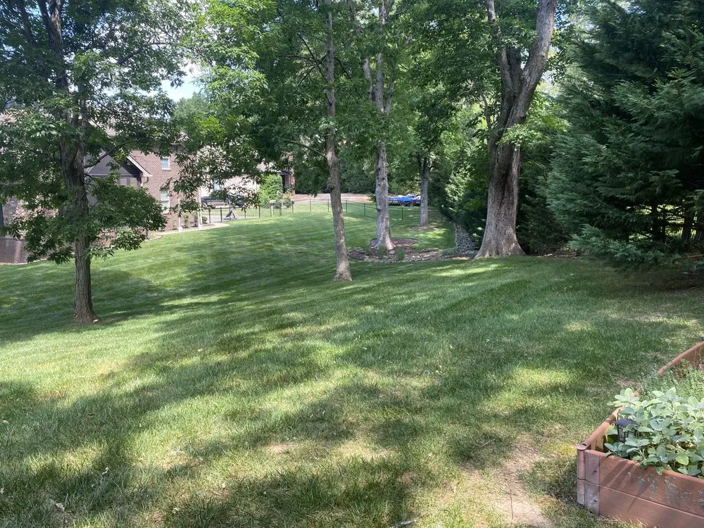 Reliable garden landscaping for year-round maintenance across Middle Valley, TN - HABB lawn and landscaping