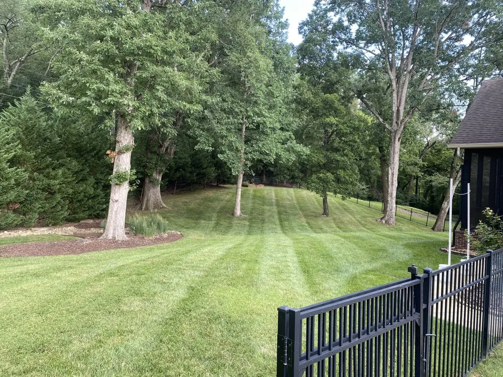 Expert landscape design for beautiful yards across Middle Valley, TN - HABB lawn and landscaping
