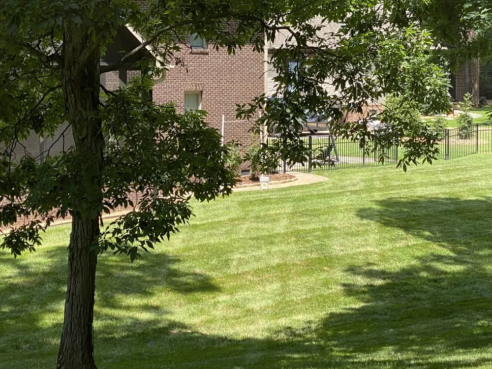 Top-rated lawn care service in Middle Valley, TN - HABB lawn and landscaping