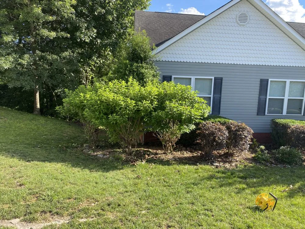 Local yard cleanup service in Middle Valley, TN by HABB lawn and landscaping