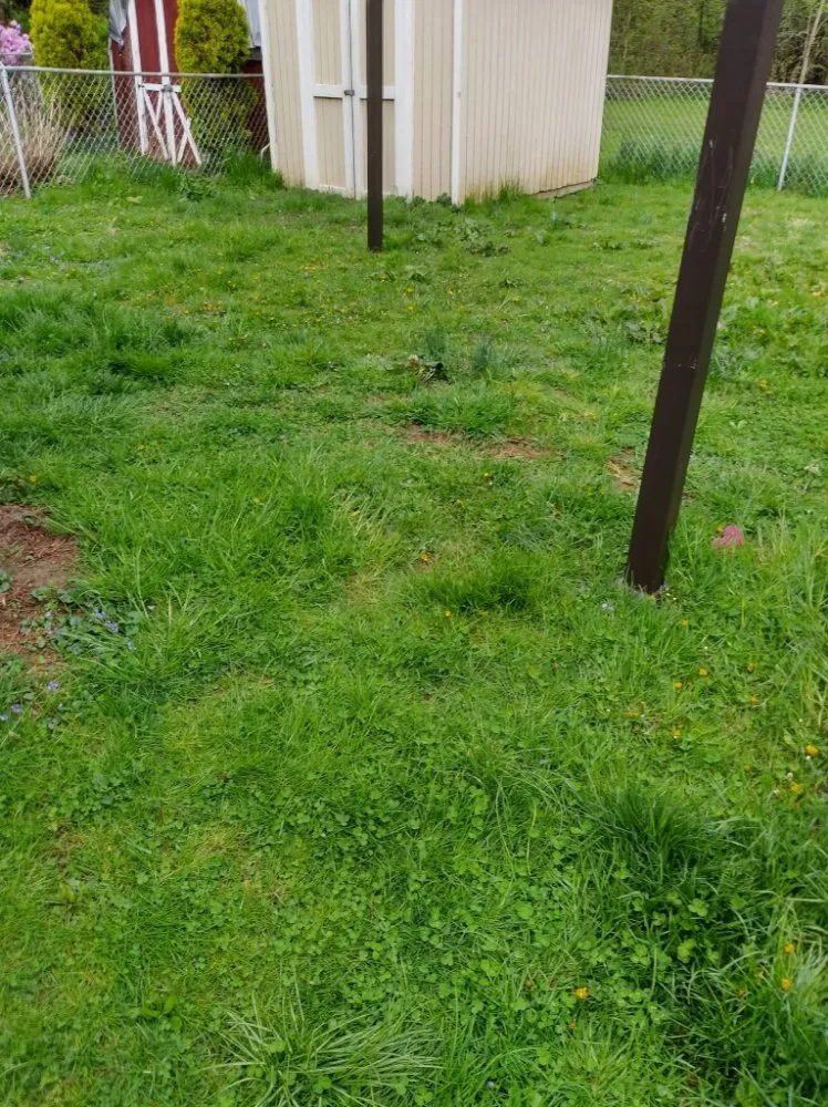 Trusted landscaping services in Columbia, PA by Habecker Lawncare