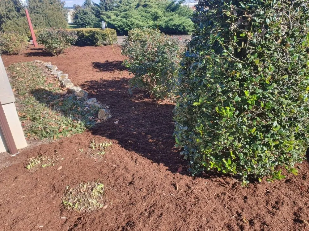 Local lawn care service near you in Columbia, PA by Habecker Lawncare